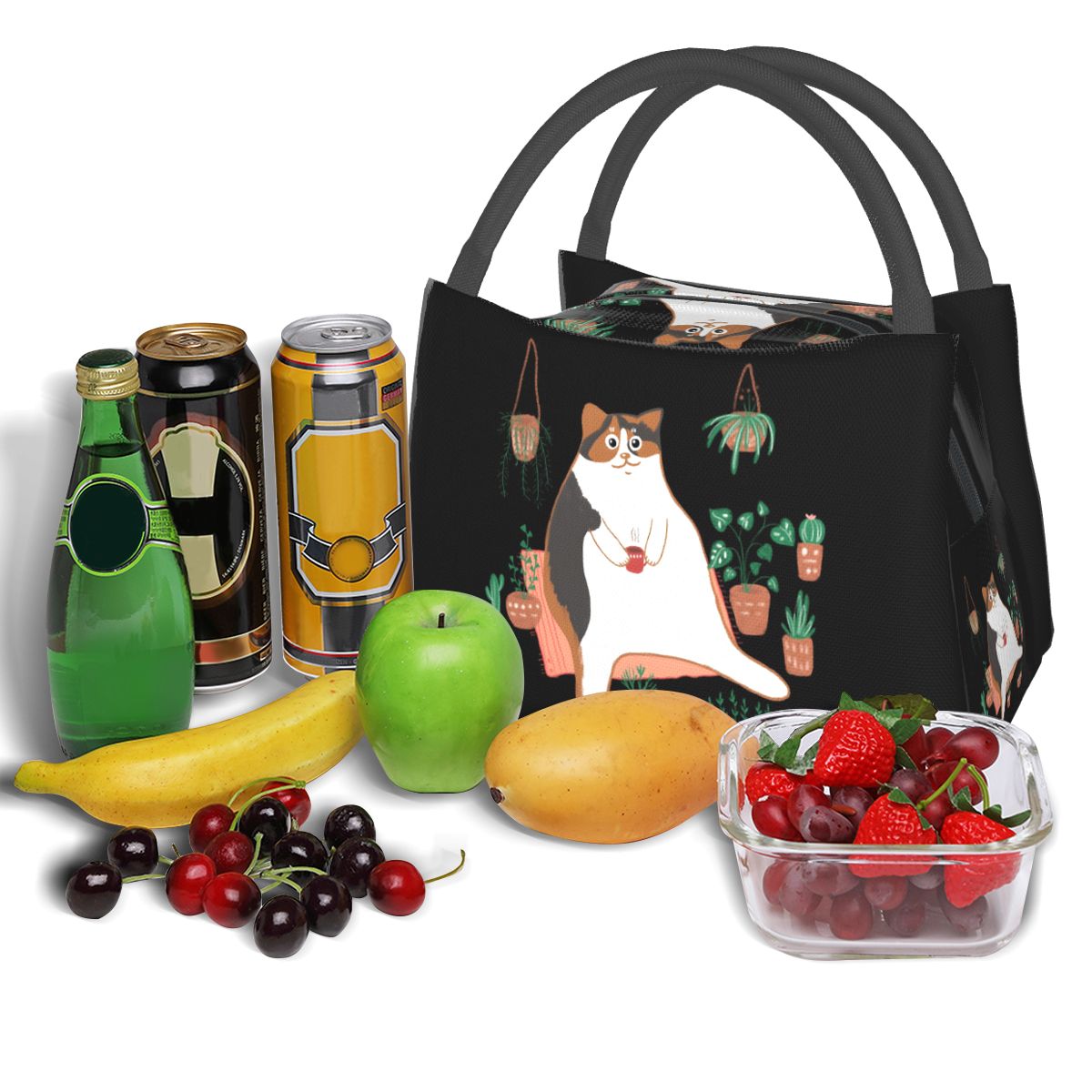 กระเป๋าใส่อาหารกลางวันลายแมวคา - Food Storage Moms บทวิจารณ์และราคา
